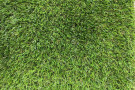 Umělý travní koberec Robina