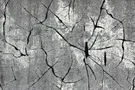 Kusový koberec Miami 0129 grey