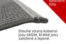 Kusový koberec Parma 9210 lila