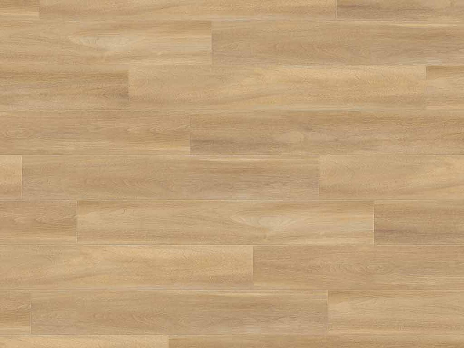 Vinylová podlaha Creation 30 Bostonian Oak Honey 0851 - lepená 184x1219 mm (obrázek 8)