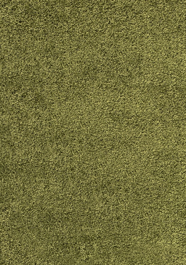 Levně Kusový koberec Dream Shaggy 4000 green 120x170 cm