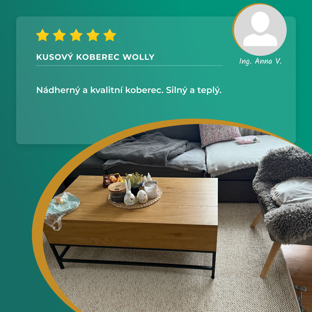 Kusový koberec Wolly 102843 100x140 cm (obrázek 15)