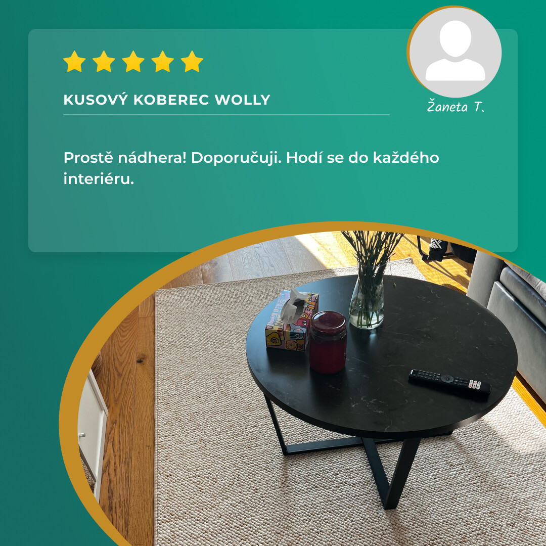 Kusový koberec Wolly 102843 100x140 cm (obrázek 16)