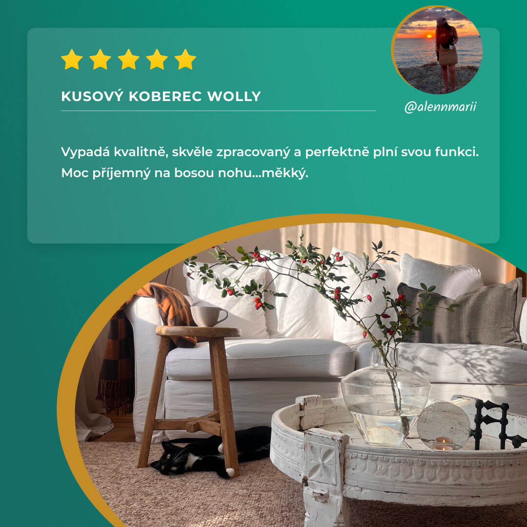 Kusový koberec Wolly 102843 100x140 cm (obrázek 17)