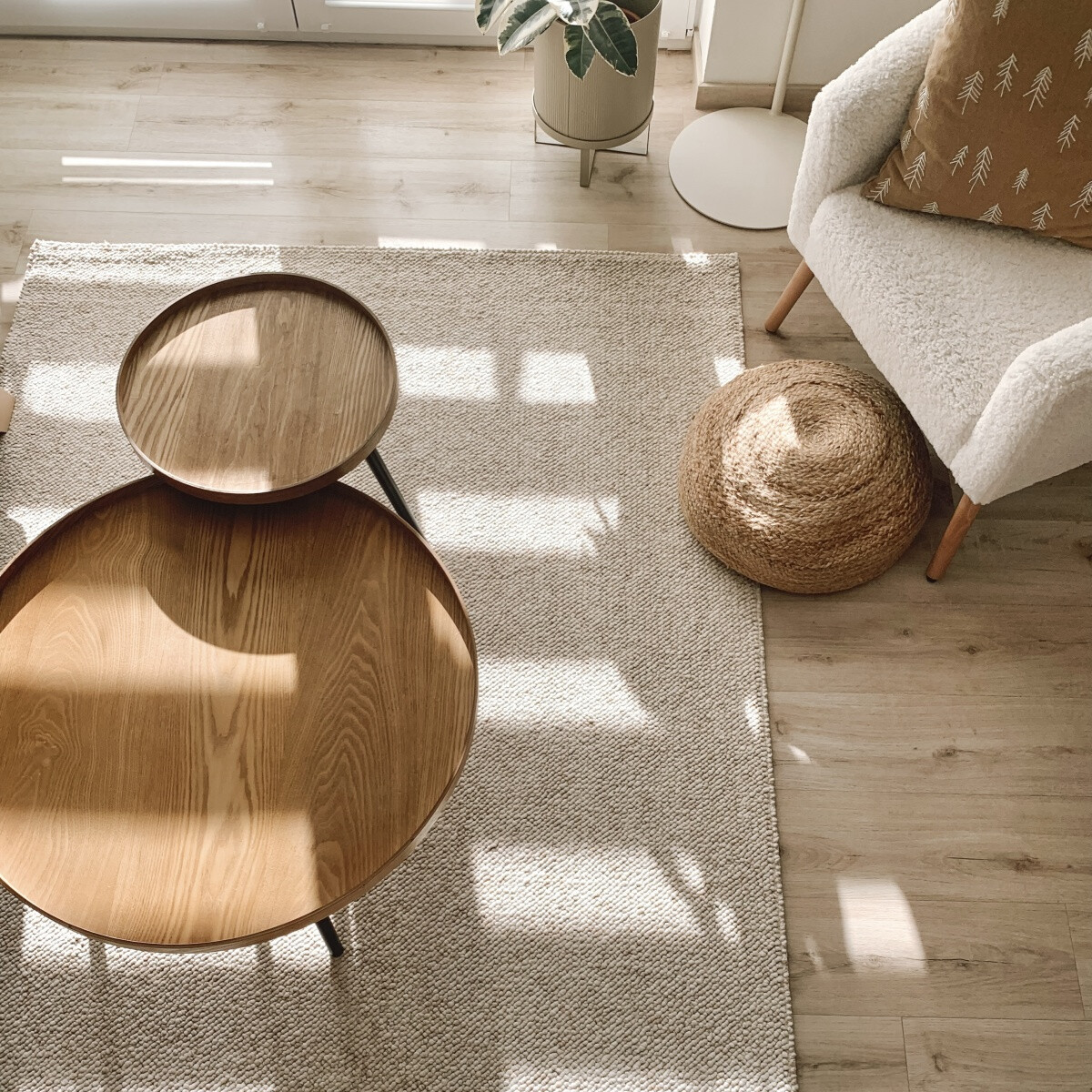 Kusový koberec Tundra 106228 Cream z kolekce Elle 80x150 cm (obrázek 11)
