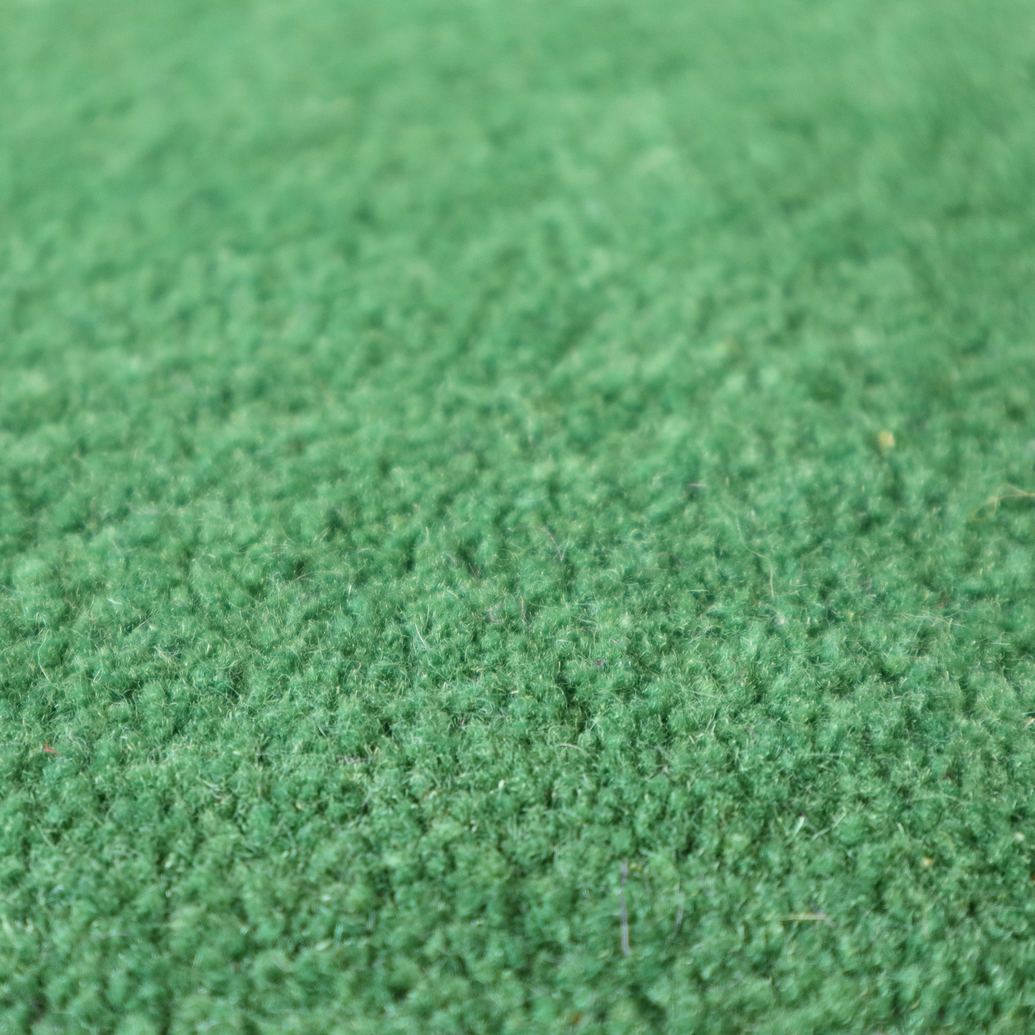 Ručně všívaný kusový koberec Asra wool sv. zelená 4