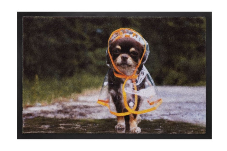 Rohožka 585 Image 019 raincoat dog