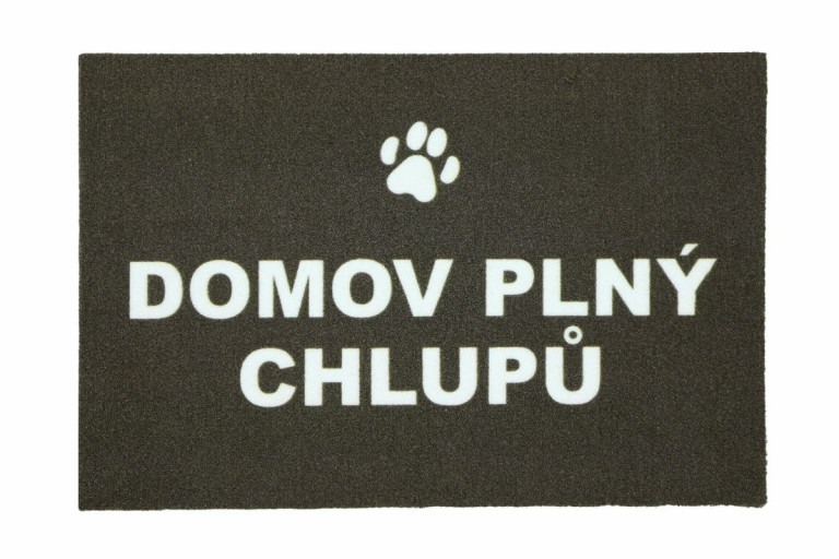 Rohožka Domov plný chlupů 40x60 cm
