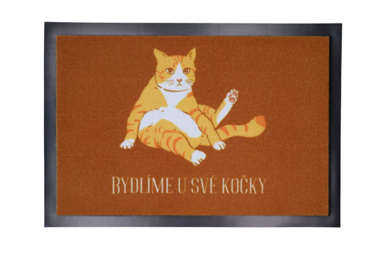 Rohožka Bydlíme u své kočky 40x60 cm