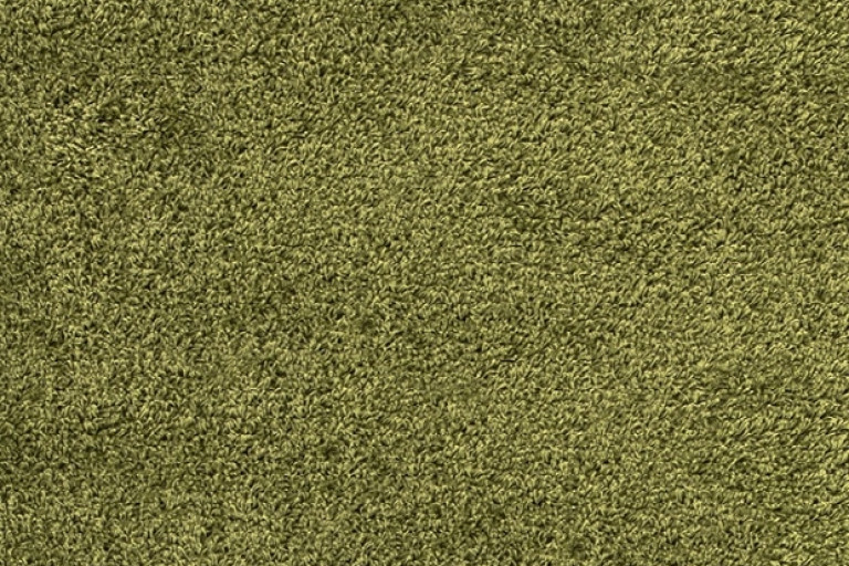 Kusový koberec Dream Shaggy 4000 green