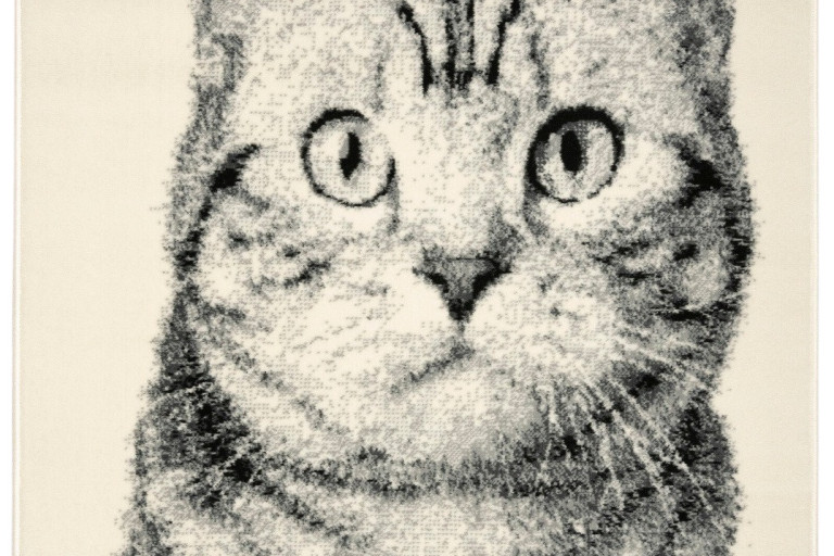 Kusový koberec Cat grey