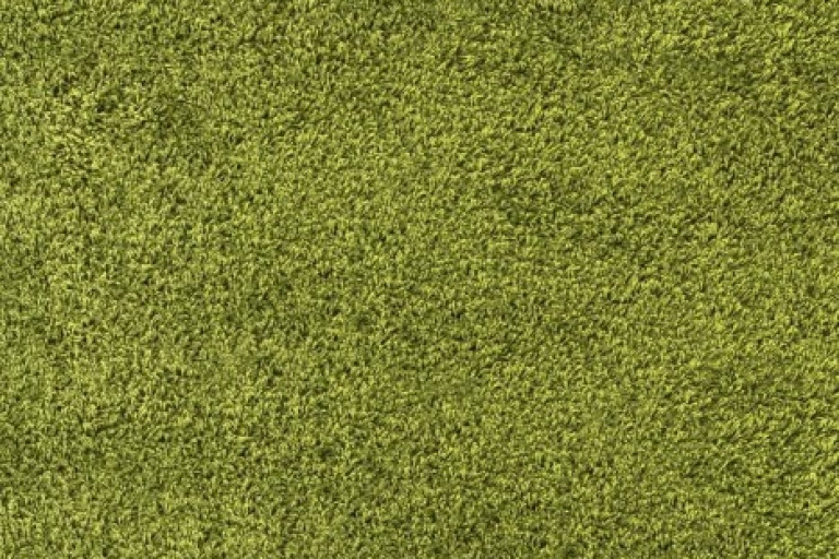 Kusový koberec Life Shaggy 1500 zelený