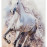 Dětský kusový koberec Torino kids 235 WHITE HORSE