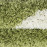 Kusový koberec Fun 6001 green