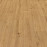 PVC Texline Plus Gerflor 2385 - Forest Honey
