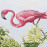 Kusový koberec Flair 105616 Tropical Birds Multicolored – na ven i na doma