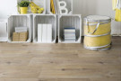 PVC Texline Gerflor Sherwood Blond 2013