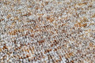Metrážový koberec Savannah 33