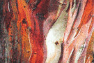 Kusový koberec Rust 21304/910 Red