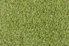 Travní koberec Camelia - UV FILTR - 15mm