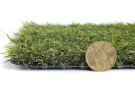 Travní koberec Botanic - UV FILTR - 37mm