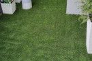 Travní koberec Rosemary - UV FILTR - 38mm
