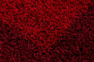 Kusový koberec Life Shaggy 1503 red