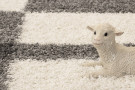 Kusový koberec Gala shaggy 2505 lightgrey