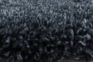 Kusový koberec Fluffy Shaggy 3500 anthrazit