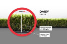 Travní koberec Daisy rozměr š.270 x d.216 cm PB - UV FILTR - jemnost ⭐⭐⭐⭐⭐