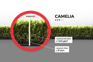 Travní koberec Camelia rozměr š.300 x d.230 cm PB