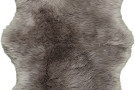 Kusový koberec Premium Sheep 100 Mushroom