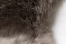 Kusový koberec Premium Sheep 100 Mushroom