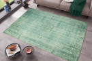 Kusový orientální koberec Chenille Rugs Q3 104784 Green