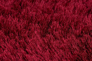 Kusový koberec Pearl Red