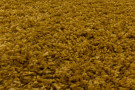 Kusový koberec Sydney shaggy 3000 gold