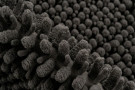 Předložka do koupelny Fluffy 700 graphite
