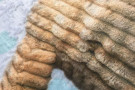Dětský koberec Ultra Soft Králík modrý