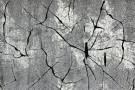 Kusový koberec Miami 0129 grey