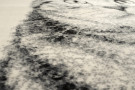 Kusový koberec Cat grey