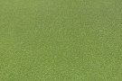 Travní koberec Bobby - 35mm