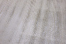 Kusový koberec Isphahan 84585 Cream/Sand