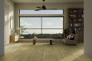 PVC Texline Plus Gerflor 2385 - Forest Honey