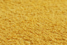Ručně všívaný kusový koberec Asra wool gold