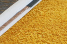 Ručně všívaný kusový koberec Asra wool gold