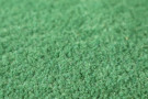 Ručně všívaný kusový koberec Asra wool sv. zelená