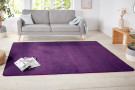 Kusový koberec Nasty 101150 Lila