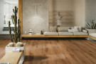 Vinylová podlaha Creation 55 Cedar Golden 1606 - lepená