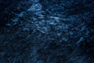 Kusový koberec Visco Rabbit Dark blue 10 kruh