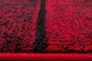 Kusový koberec Beta 1110 red